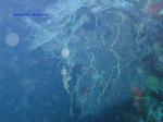 IMG_0049 IMG_0049