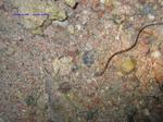 IMG_0050 IMG_0050