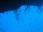 IMG_0051 IMG_0051