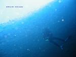IMG_0053 IMG_0053