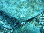 IMG_0054 IMG_0054