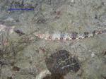 IMG_0058 IMG_0058