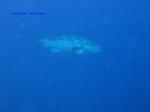 IMG_0062 IMG_0062