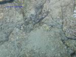 IMG_0068 IMG_0068