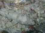 IMG_0069 IMG_0069