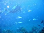IMG_0070 IMG_0070