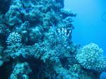IMG_0073 IMG_0073