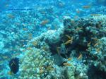 IMG_0097 IMG_0097