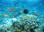 IMG_0098 IMG_0098