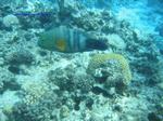 IMG_0099 IMG_0099