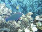 IMG_0112 IMG_0112