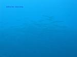 IMG_0119 IMG_0119