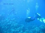 IMG_0120 IMG_0120