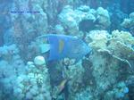 IMG_0121 IMG_0121