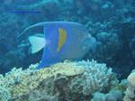 IMG_0122 IMG_0122