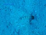 IMG_0123 IMG_0123