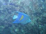 IMG_0124 IMG_0124