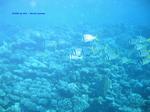 IMG_0126 IMG_0126