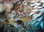 IMG_0128 IMG_0128