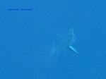 IMG_0131 IMG_0131