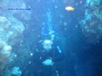 IMG_0135 IMG_0135