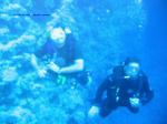 gypten (Dahab): IMG 0136