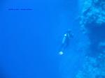 IMG_0139 IMG_0139