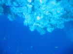 IMG_0140 IMG_0140