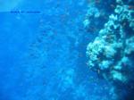 IMG_0144 IMG_0144