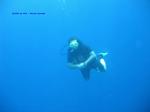 IMG_0149 IMG_0149