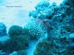IMG_0154 IMG_0154