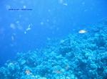 IMG_0155 IMG_0155