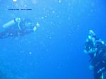 IMG_0163 IMG_0163