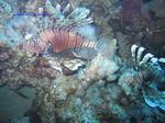 IMG_0167 IMG_0167