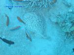 IMG_0170 IMG_0170