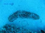 IMG_0182 IMG_0182