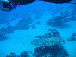 IMG_0183 IMG_0183