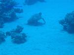 IMG_0184 IMG_0184