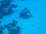 IMG_0185 IMG_0185