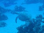 IMG_0186 IMG_0186