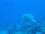 IMG_0187 IMG_0187