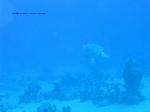 IMG_0188 IMG_0188
