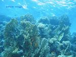IMG_0189 IMG_0189
