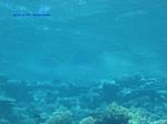 IMG_0191 IMG_0191