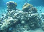 IMG_0192 IMG_0192