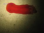 IMG_0215 IMG_0215