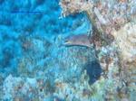 IMG_0181 IMG_0181