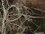 DSCF0041 DSCF0041