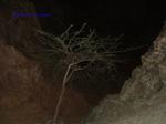 DSCF0042 DSCF0042