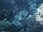 IMG_0432 IMG_0432